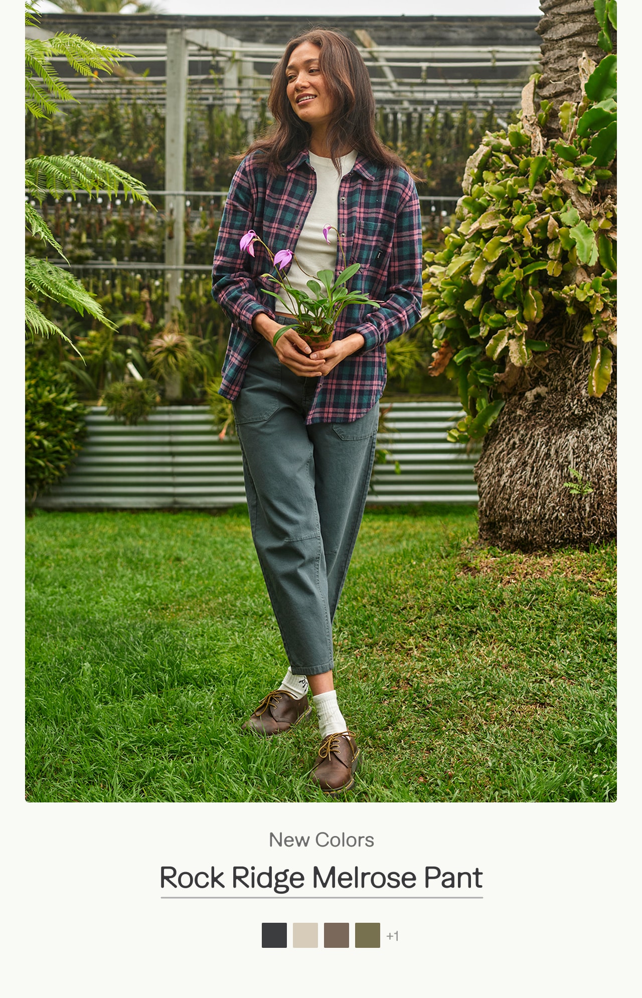 rock ridge melrose pant
