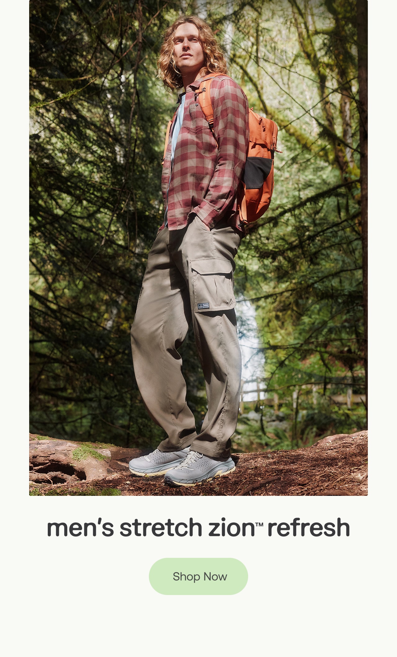 men's stretch zion