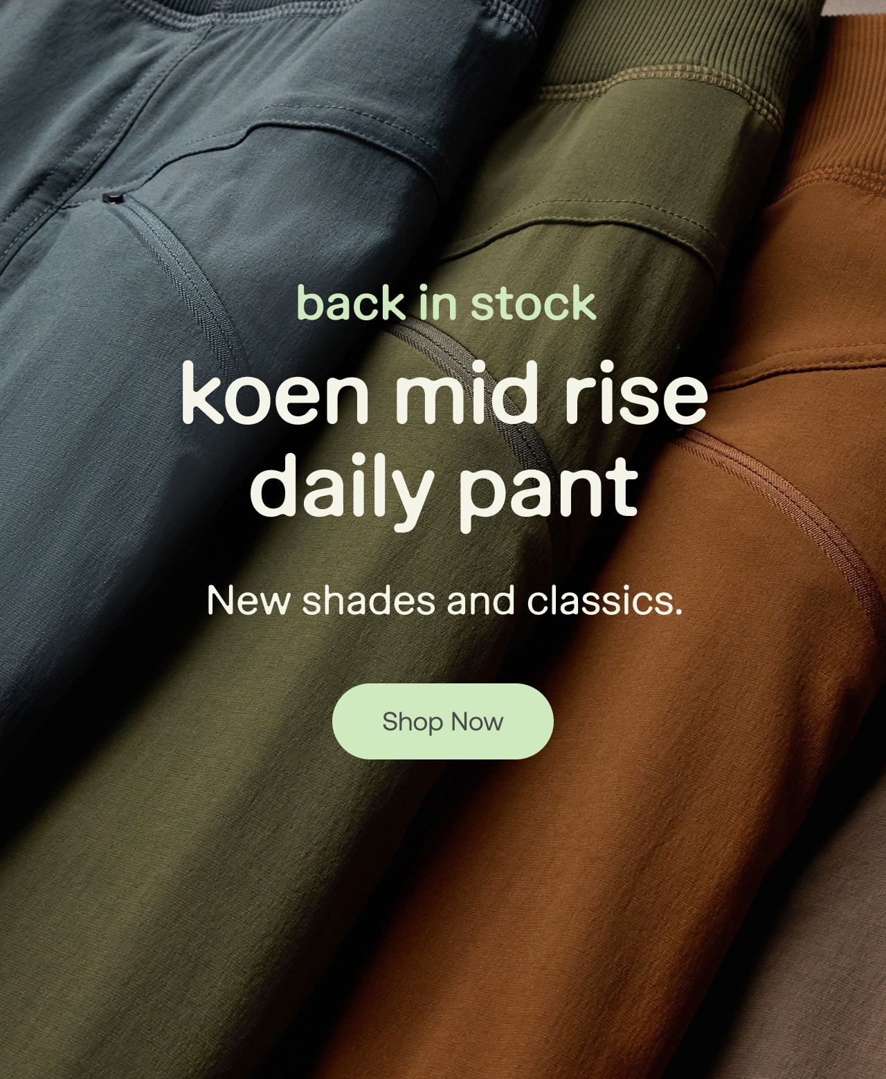 shop now